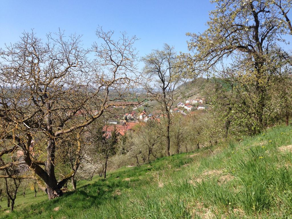 Alte Rose Gasthaus Ebelsbach Room photo
